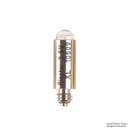 Ersatzlampen XL 3,5 V, für ri-scope OP-Otoskop Human/Veterinär (6 Stck.)