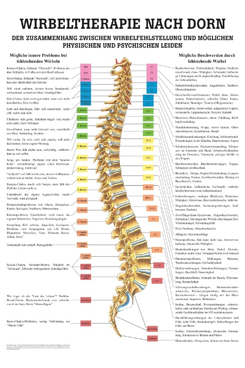 Anat. Mini-Poster: Dorntherapie 24 x 34 cm, laminiert