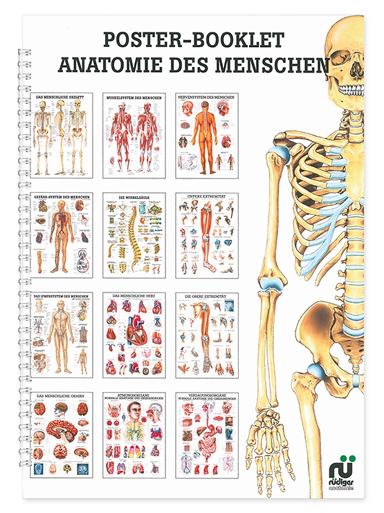 [RÜD MIPO-BOOK01] Mini-Poster Booklet: Anatomie