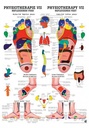Anat. Poster: Physiotherapie Reflexzonen Fuß, 50 x 70 cm, laminiert, zweisprachig