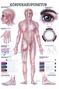 anat. Lehrtafel: Körperakupunktur