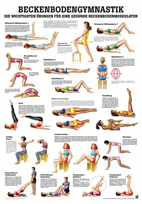 [RÜD TA40 LAM] Anat. Lehrtafel: Beckenbodengymnastik 70 x 100 cm, laminiert