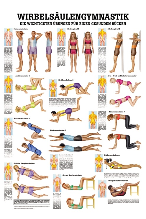Anatomische Lehrtafel: Wirbelsäulengymnastik (laminiert)