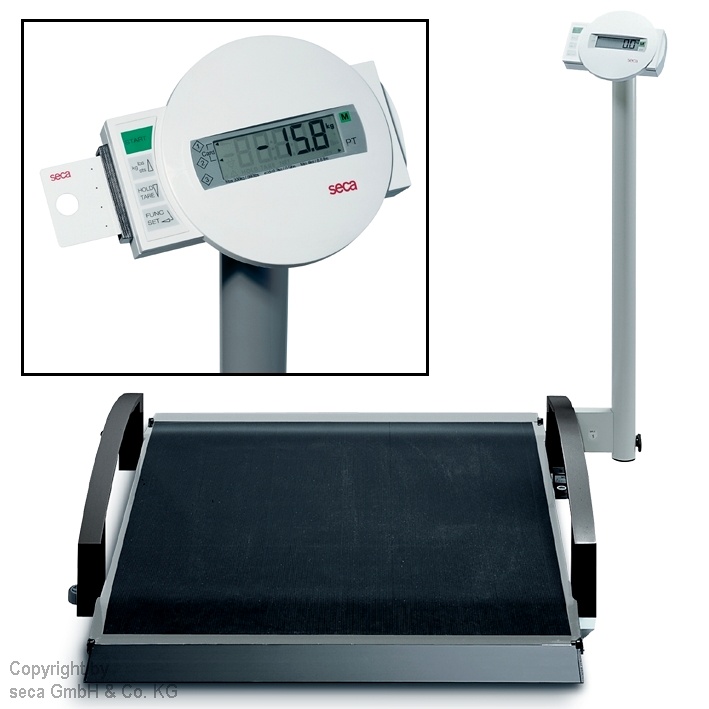 [SEC 6657021003] Integrationsfähige Rollstuhlwaage Seca 665 inkl. Eichkosten  69,00