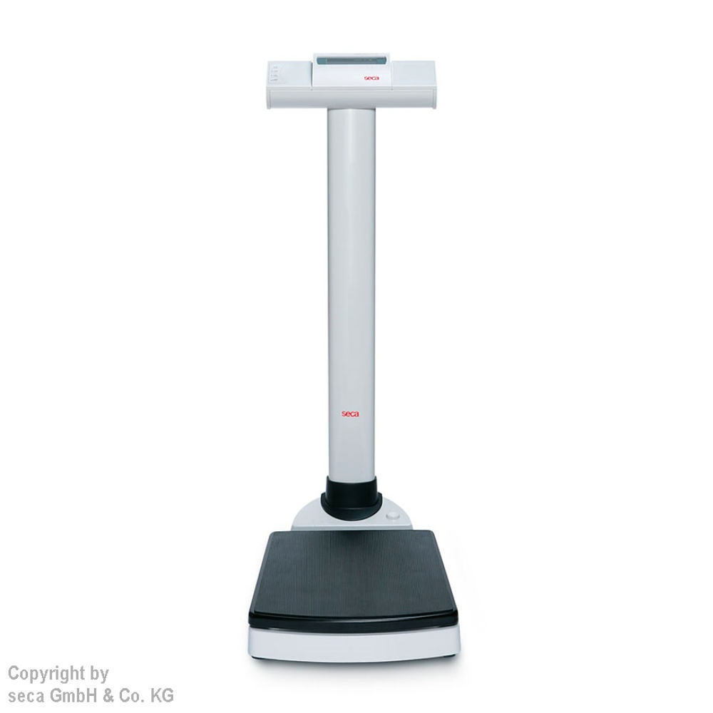 Integrationsfähige Säulenwaageseca 704 Inkl. Eichkosten  69,00