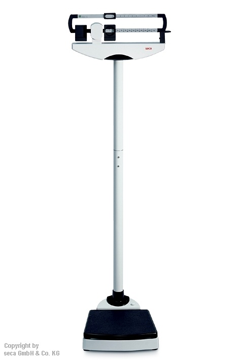 [SEC 7117021004] Mechanische Säulenwaage seca 711 Inkl. Eichkosten  69,00