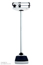 Mechanische Säulenwaage seca 711 Inkl. Eichkosten  69,00