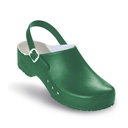 ChiroClogs Professional, grün, Gr. 43