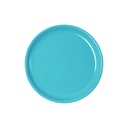 Teller flach Ø 24,1 cm, hellblau